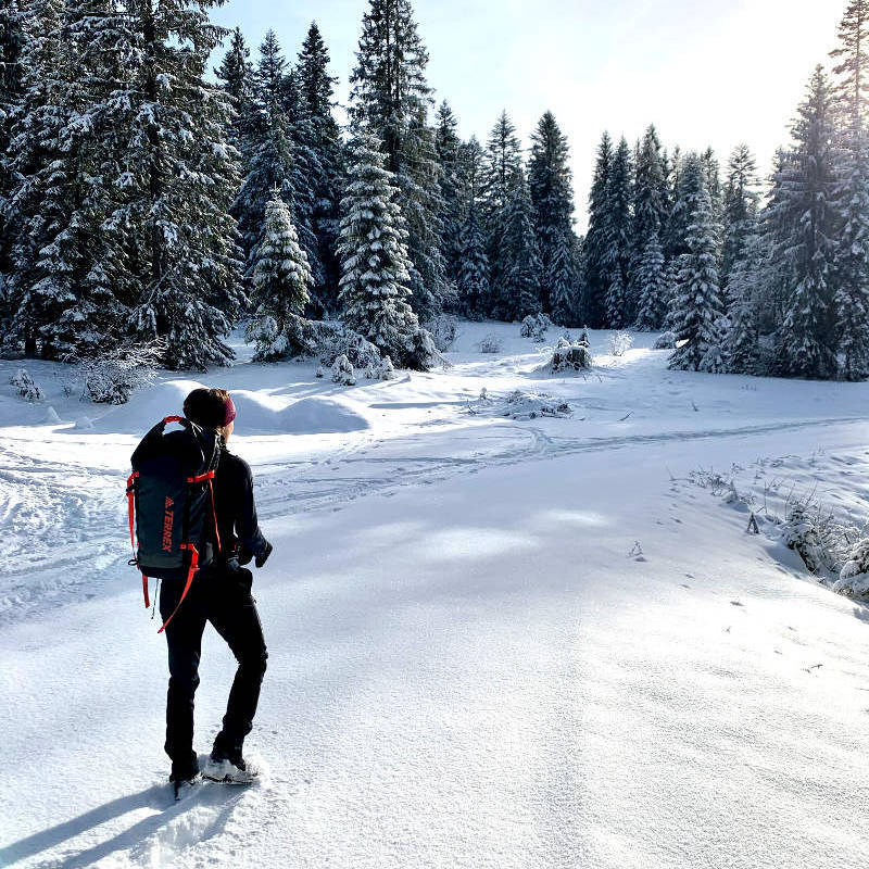 Girl with backpack looks towards a snowy forest