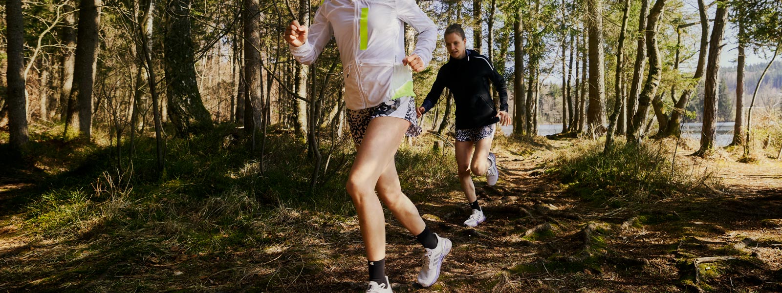 Two runners run a small lake over a forest floor with many roots in the background